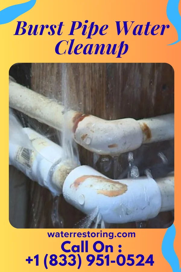 Burst Pipe Water Cleanup in Brook Park, MN