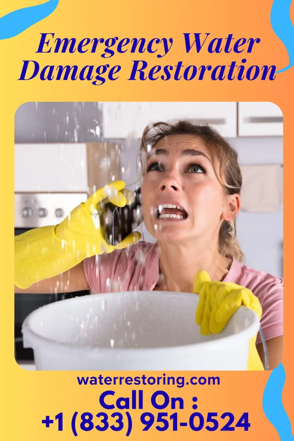 Emergency Water Damage Restoration in Brook Park, MN