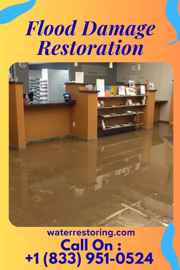 Flood Damage Restoration in Brook Park, MN