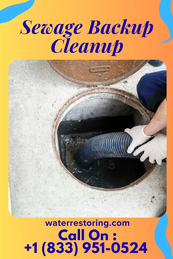 Sewage Backup Cleanup in Brook Park, MN